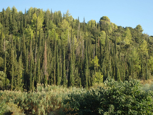 Cycle from Kalavrita to Patras.
