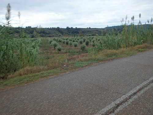 Olympia to Pirgos Loop Ride.