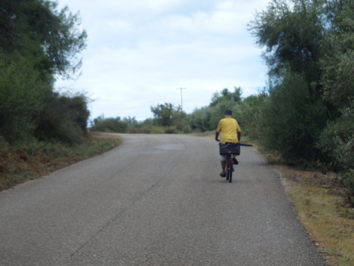 Olympia to Pirgos Loop Ride.