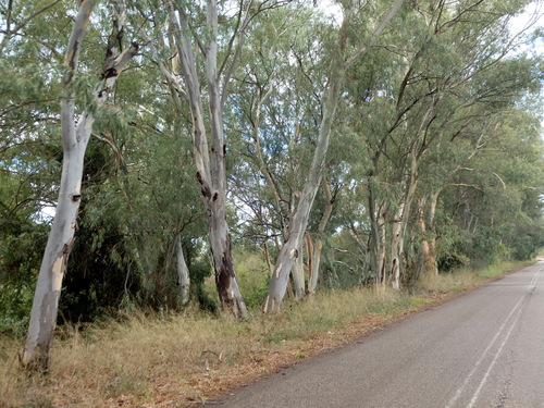 Olympia to Pirgos Loop Ride.