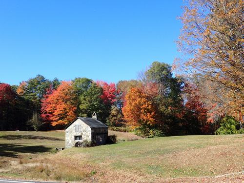 Fall Foliage.