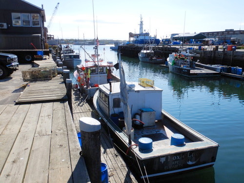 A view seaward from a Portland wharf.