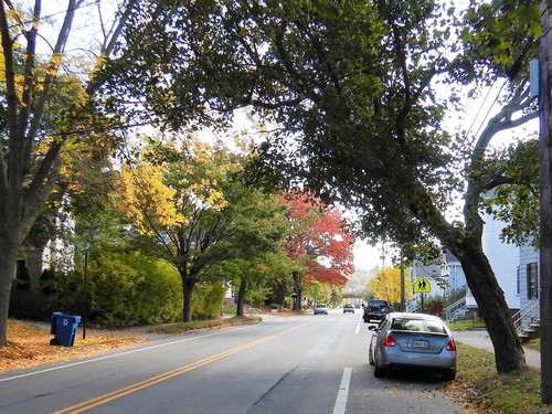 A view of Fall Foliage on our ride back to our hotel.