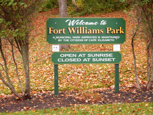 At Cape Elizabeth / Ft Williams Park – Oak Leaves on the ground.