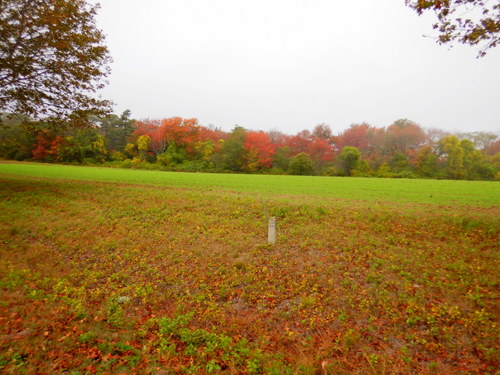 Autumn in Maine.