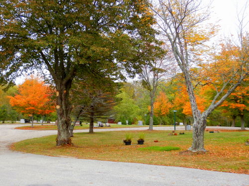 Autumn in Maine.