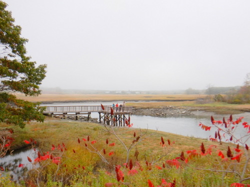 Autumn in Maine.