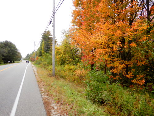 Autumn in Maine.