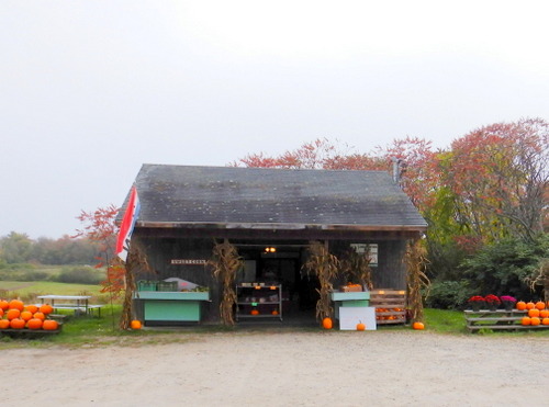 Farmers Market (end of season).