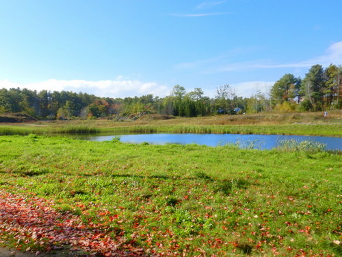 Wetland.