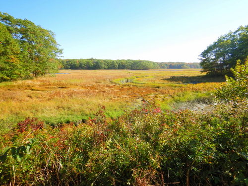 Off-road wetland trail.