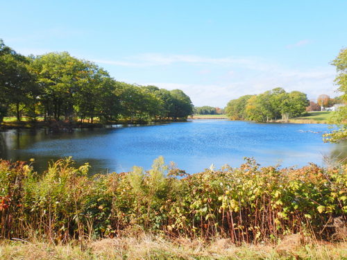 Off-road wetland trail.