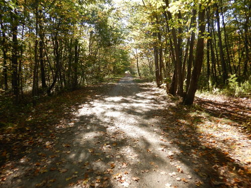 Off-road wetland trail.