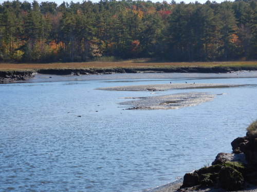 West side of the Scarborough River's watershed.