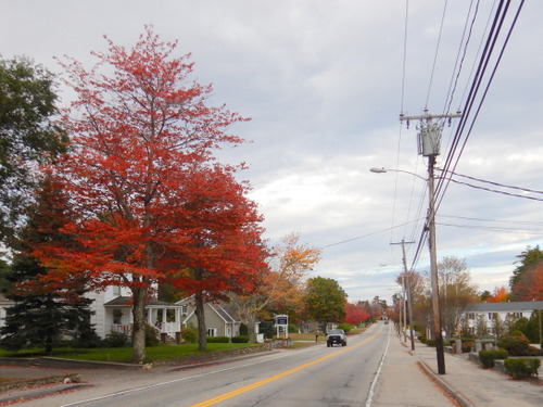 Heading south in Maine.