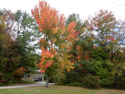 Southbound in Maine.