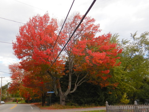 Southbound in Maine.