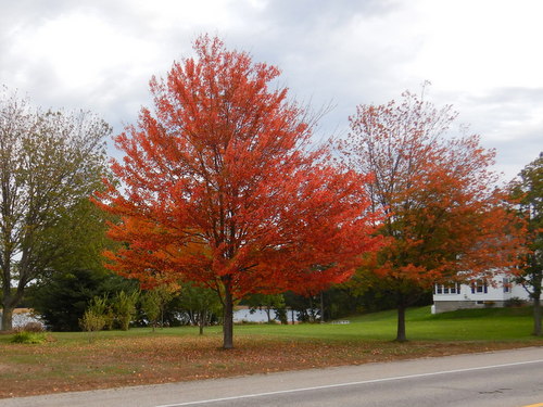 Southbound in Maine.