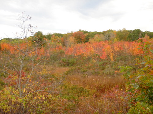 Southbound in Maine.