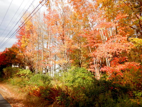 Southbound on a tandem in Maine.