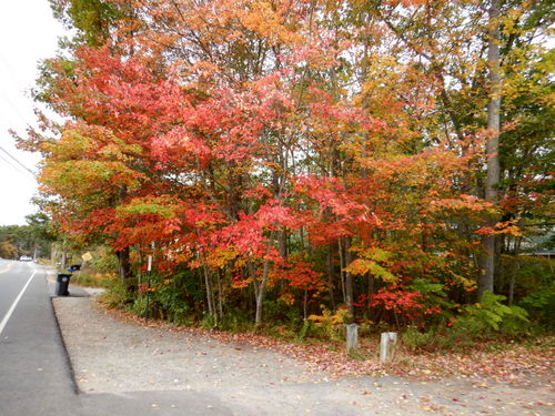 Southbound on a tandem in Maine.