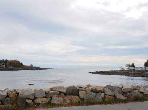 Estuary in the Cape Neddick area.