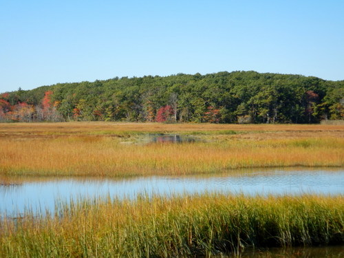 Rye area estuary.