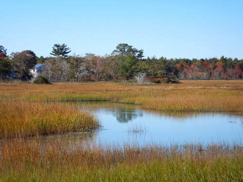 Rye area wetland.