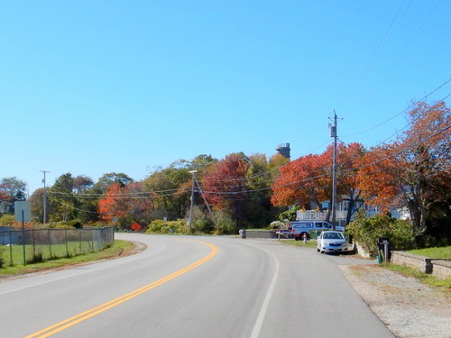 Fall foliage on the coastline.