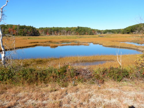 Rye Wetlands.