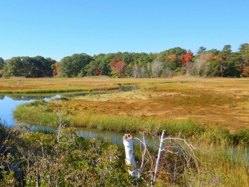 Rye Wetlands.