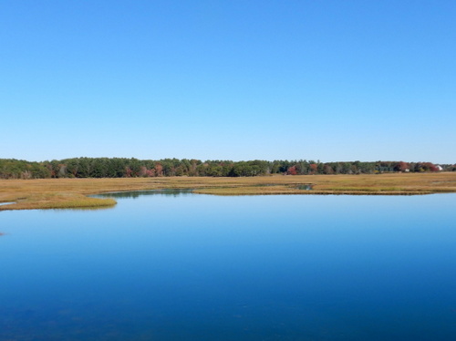 Wetland estuary in the Rye coastal area of NH.