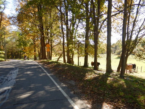 We rode out of Newburyport into rural Massachusetts.