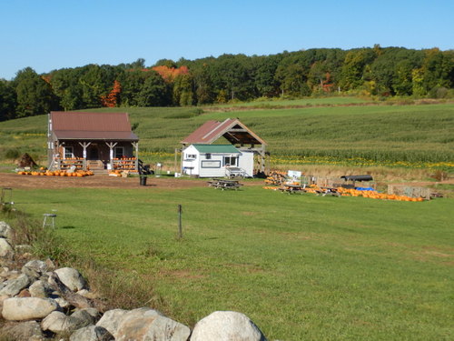 Kimball Farm, Maize and Pumpkins.