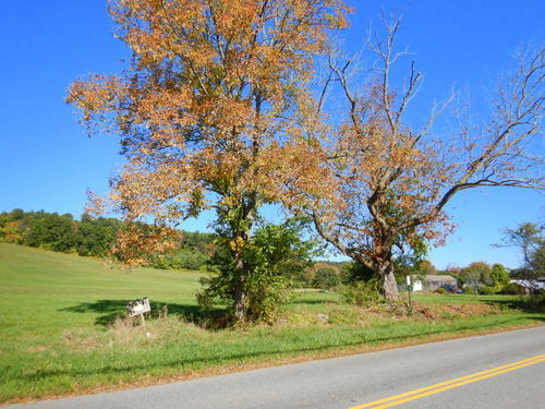 Massachusetts's Back-Country.