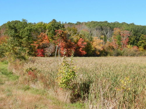 Massachusetts's Back-Country.