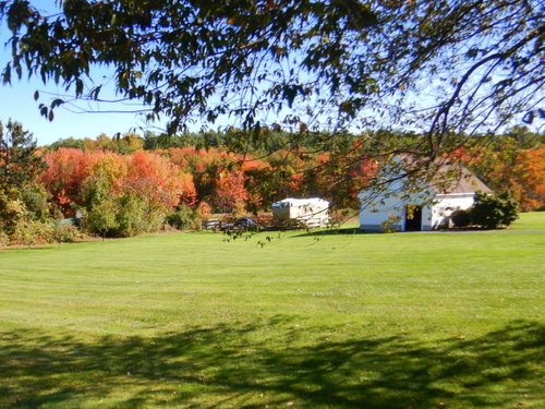 Fall Foliage.