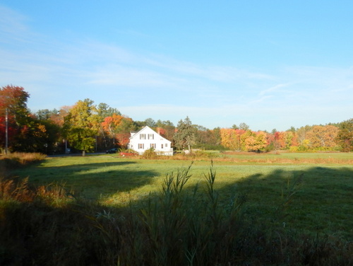 Fall Foliage.