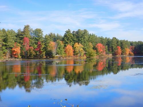 Fall Foliage.