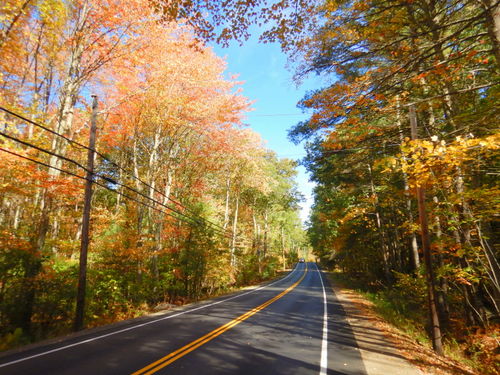 Fall Foliage.