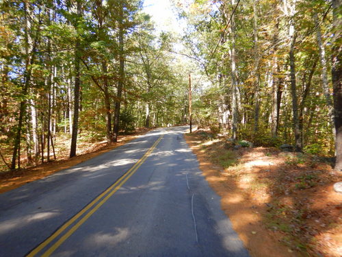 Fall Foliage.