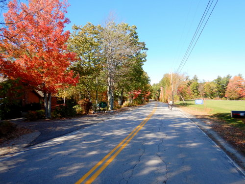 Fall Foliage.