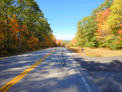 Fall Foliage.