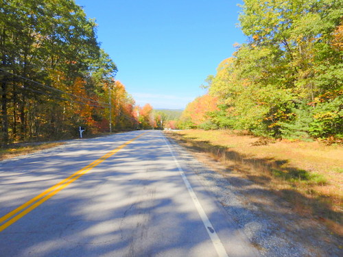 Fall Foliage.