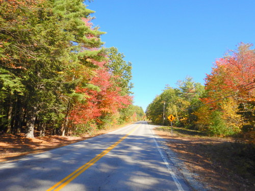 Fall Foliage.