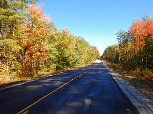 Fall Foliage.