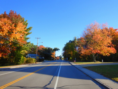 Fall Foliage.