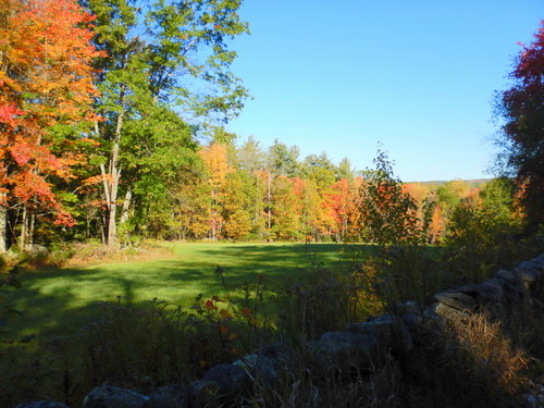 Fall Foliage.