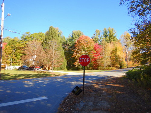 Fall Foliage.