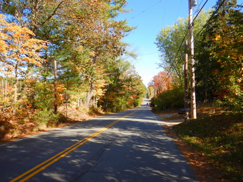 Fall Foliage.